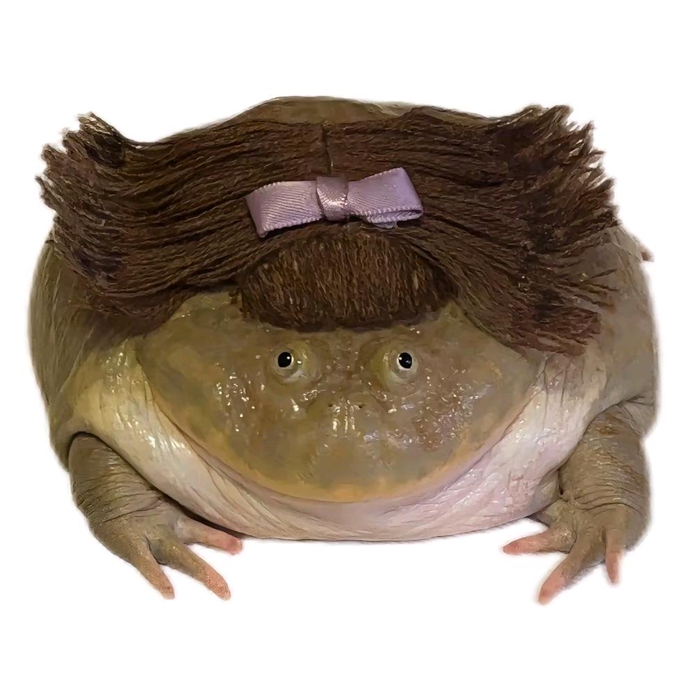 黑黑蛙