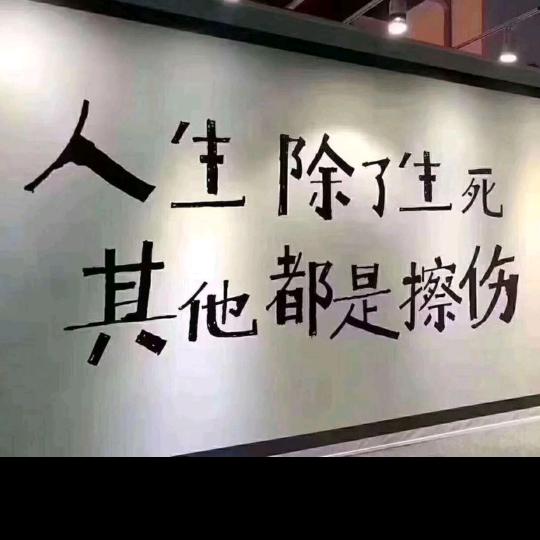 行走的木头人
