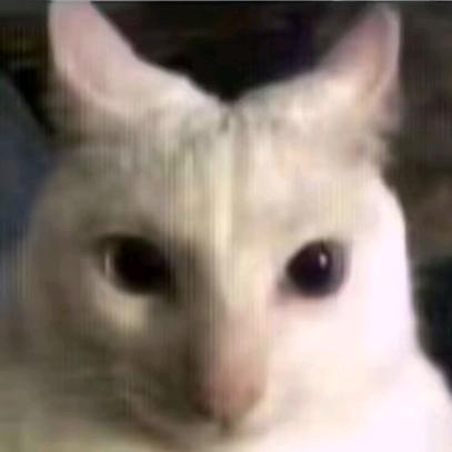 咪咪觉