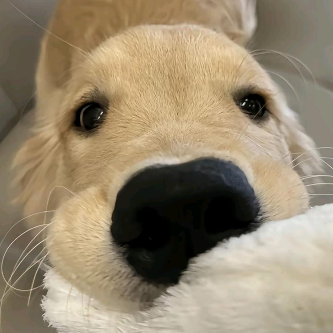 聪明