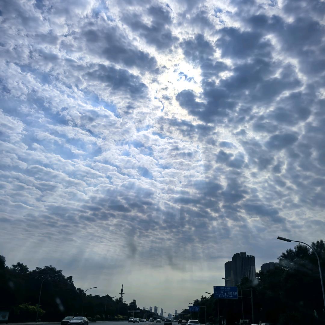 保定万物di押，压🚗