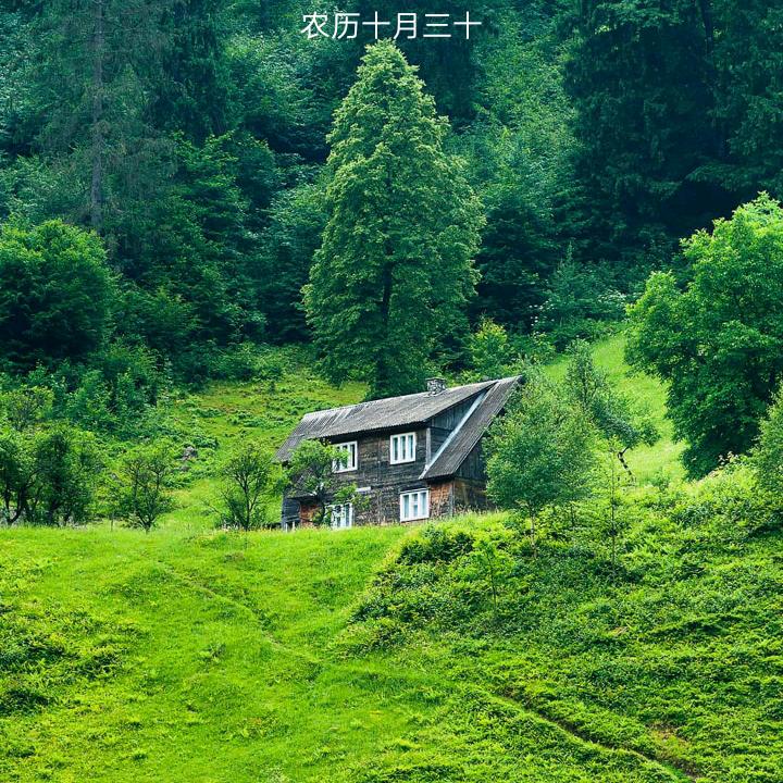 張哥哥