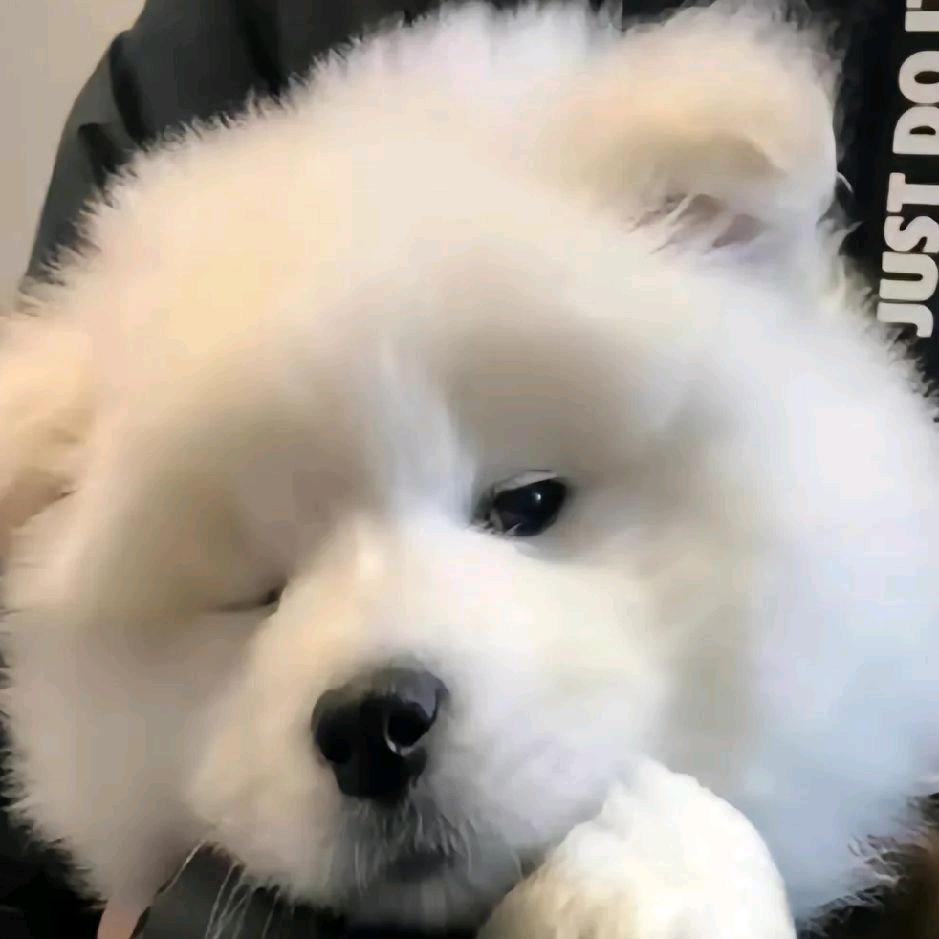 社恐小王