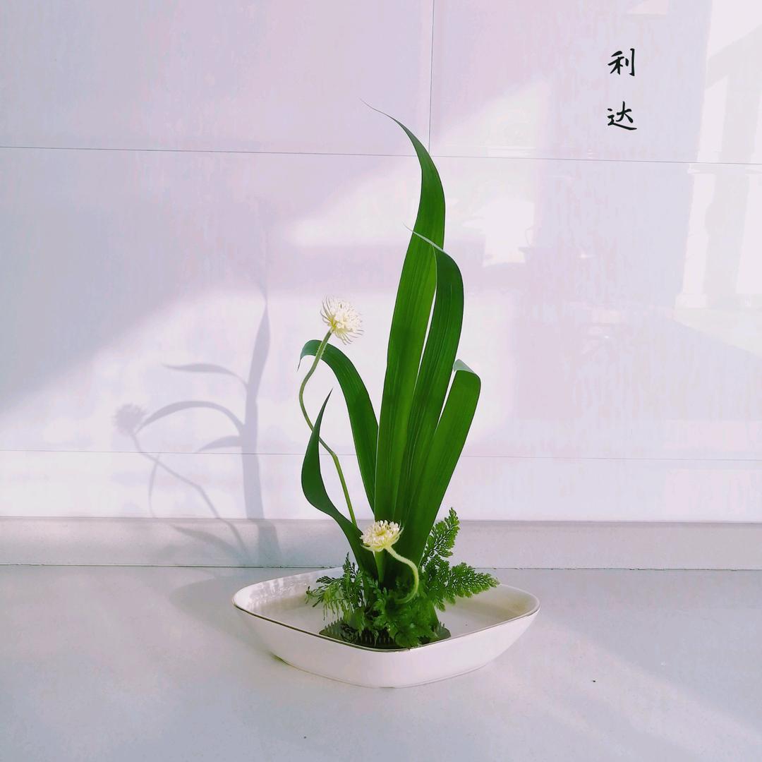 沐涵