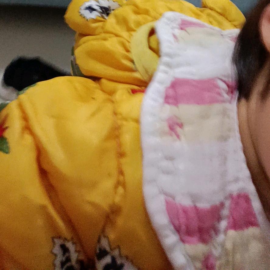 绿色树青苔