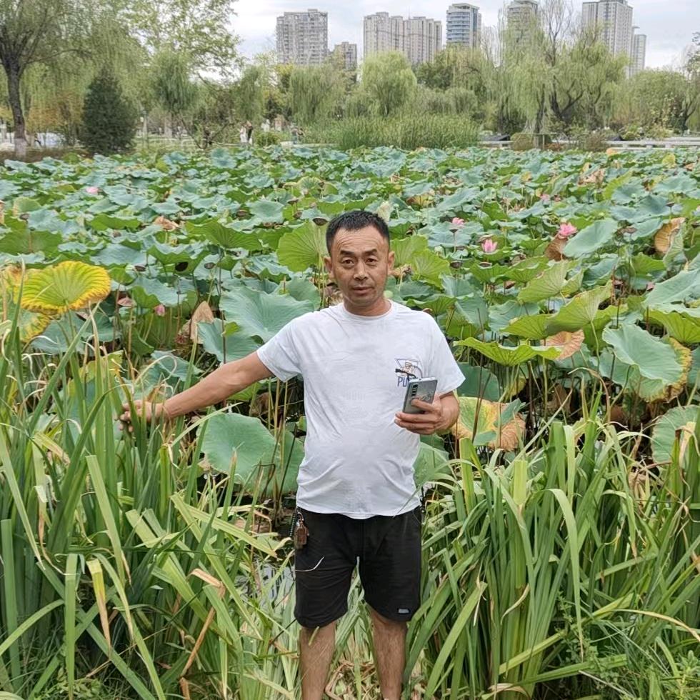 用户810868903334刘龙