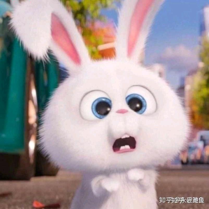 小白兔，伟东当天涯海角