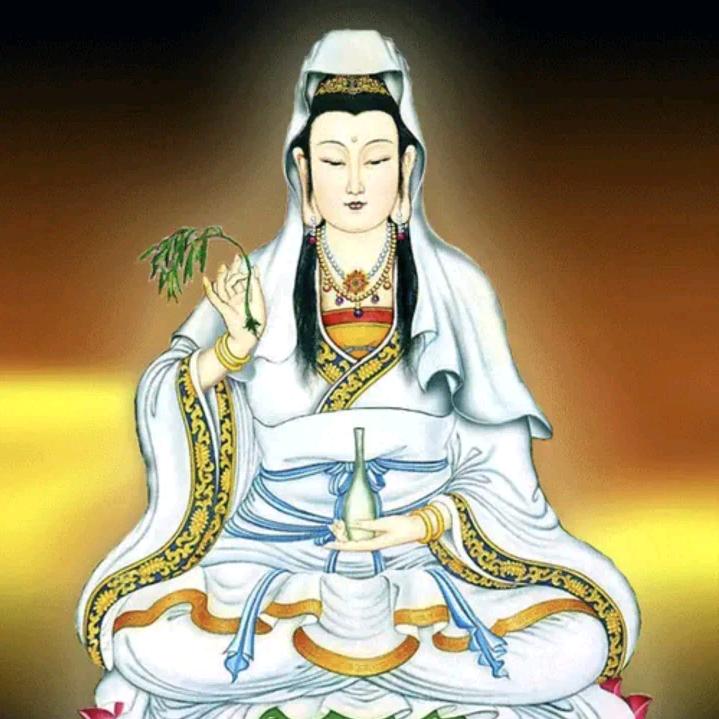 彭哥，孤单一个人🐍🎤