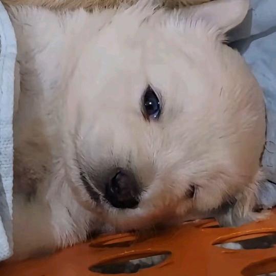 admin的头像-好玩客