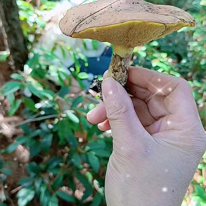 春暖花开🍁🌷🌹