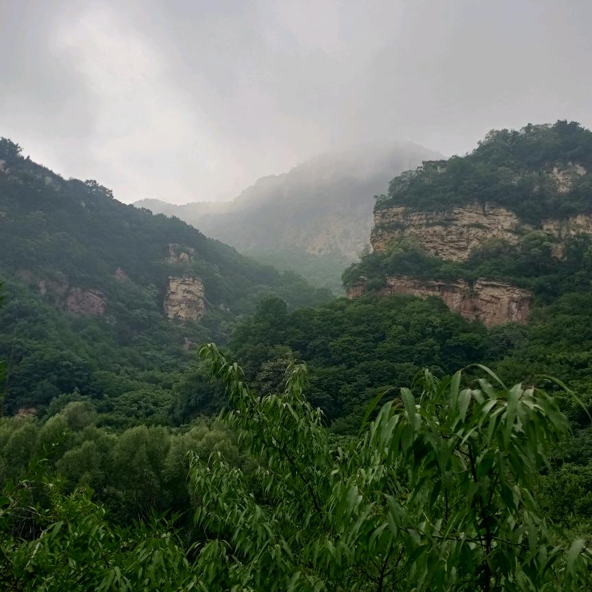 河北朱哥