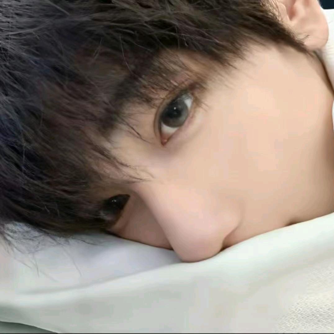 海洋熊（国一昭君）