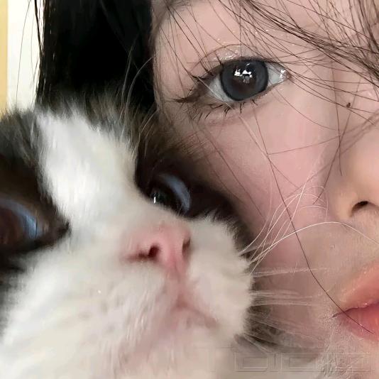 ᥫᩣ脾气ᵇᵘ好