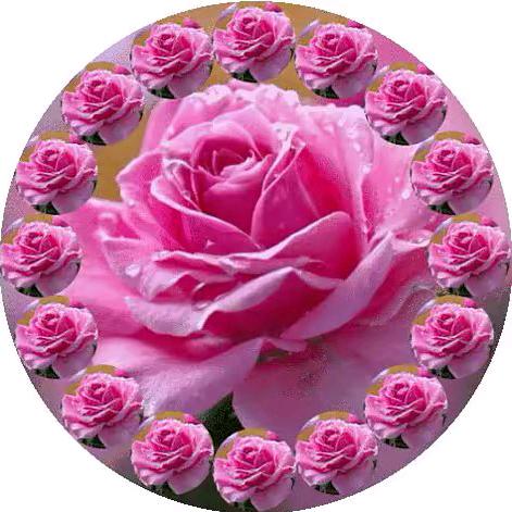 用户5653665640623马街镇武都