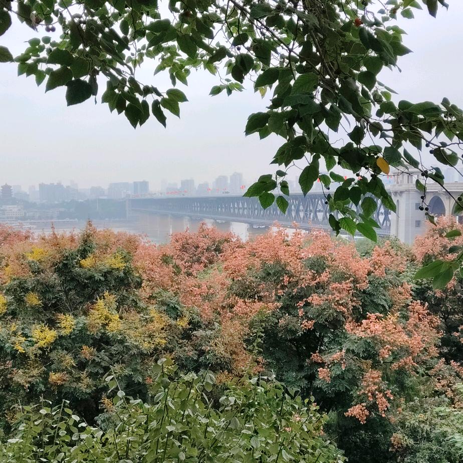 名人字画  出售