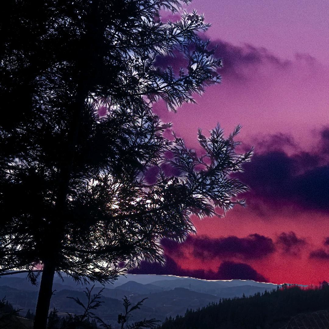 谁先放慢了步伐