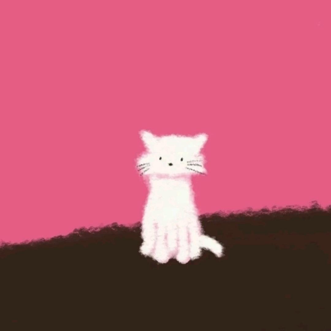 不红