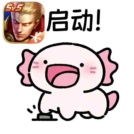会飞的猪🐷