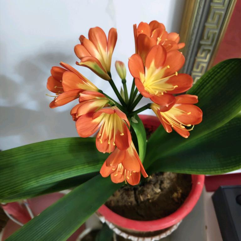 牵着蚂蚁去散步