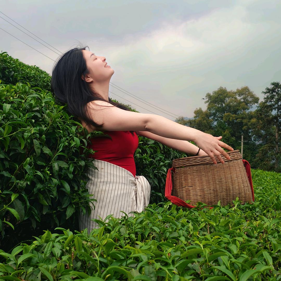 倩子.茶山日记