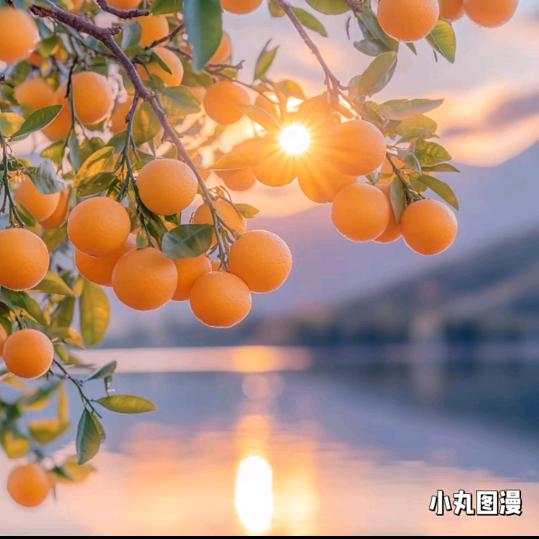 好运连连☀️🎶