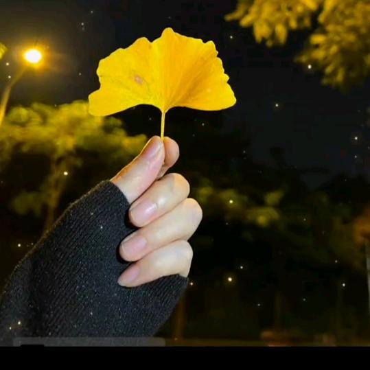 珍惜眼前