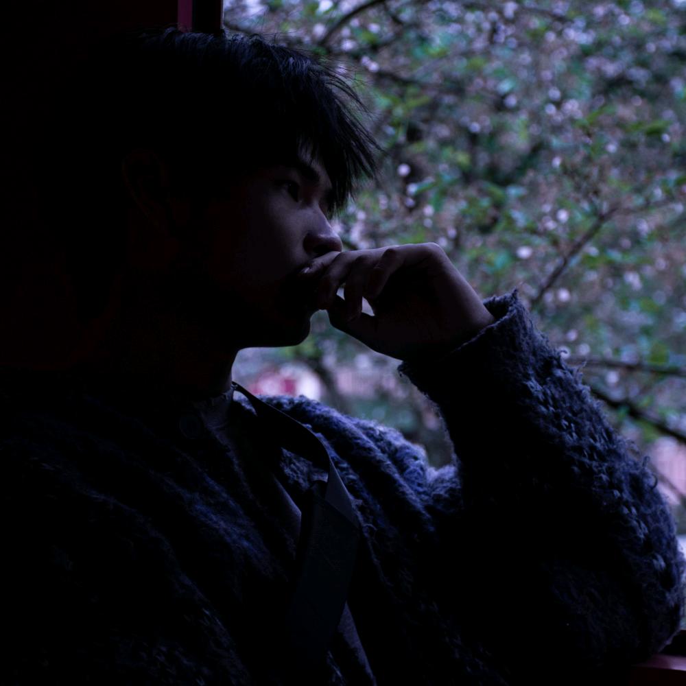 落叶红于二月花