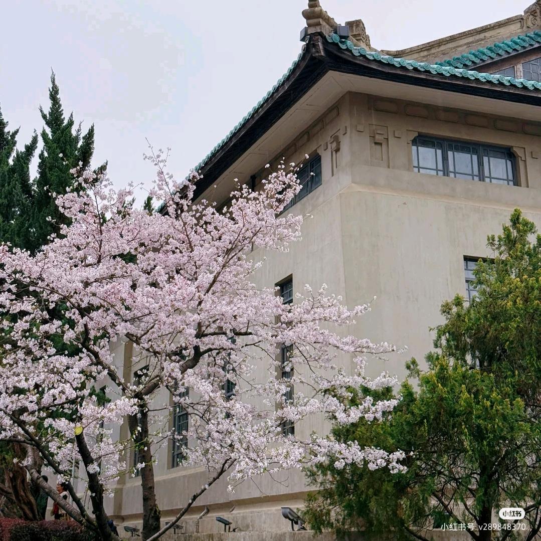 万事如意(顺遂)