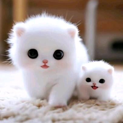 ✐﹌℘ℳ₨、陪你一生๓