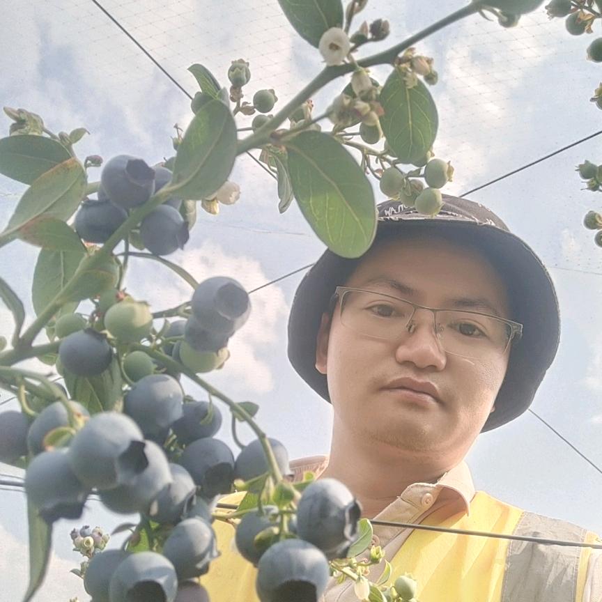 蓝莓改变世界