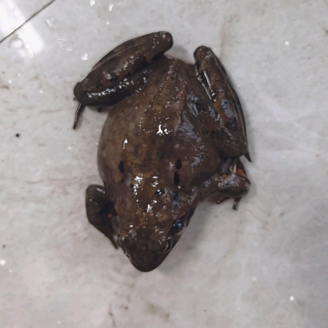 徐天泽优质水产品铺子