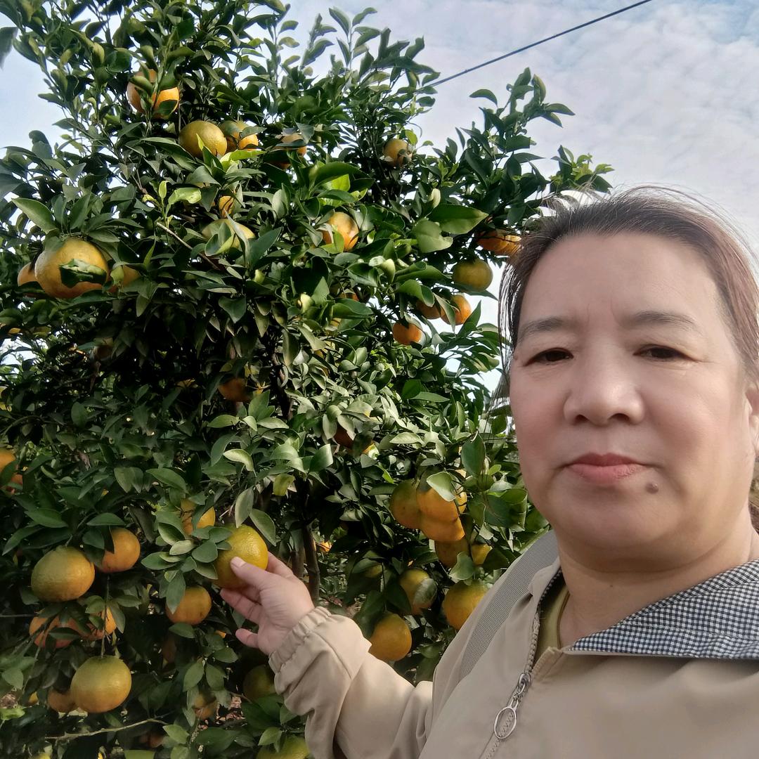 天天乐，见面发财