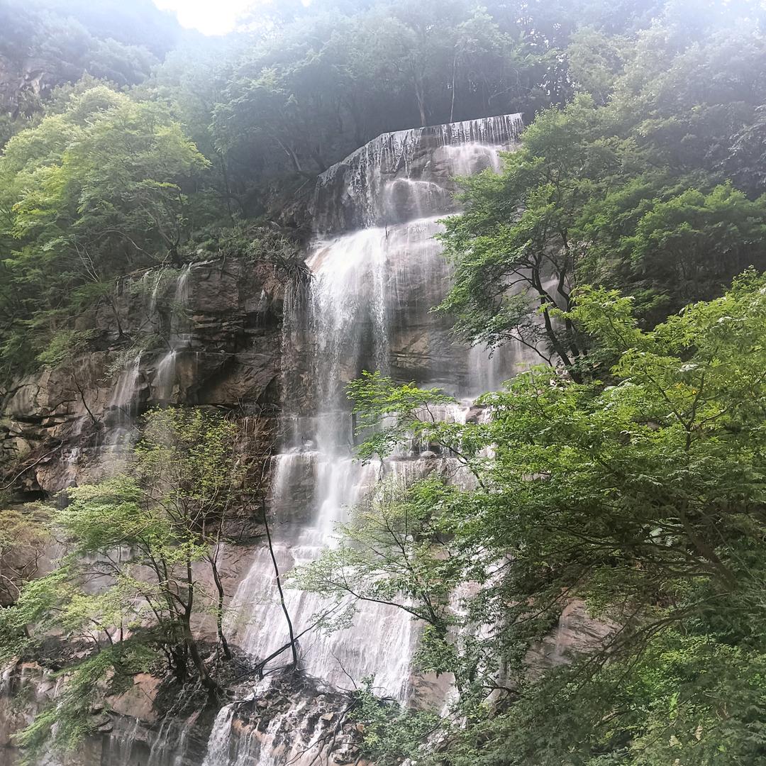 多木少森