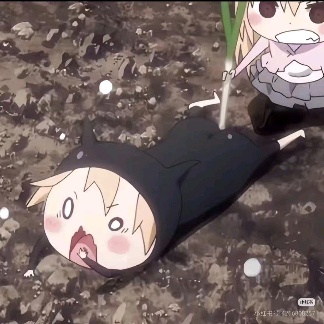 寻雾