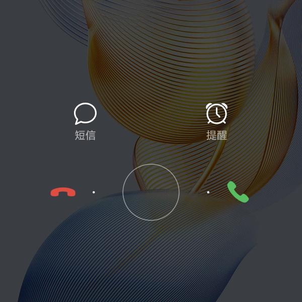 双琳