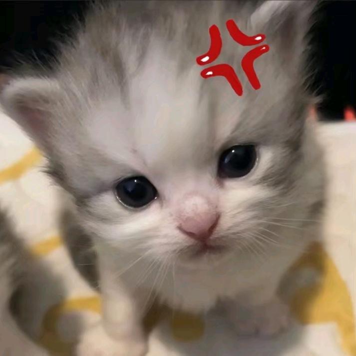 ⦁֊⦁ᐝ