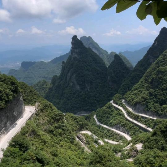 每天在奋斗🦾