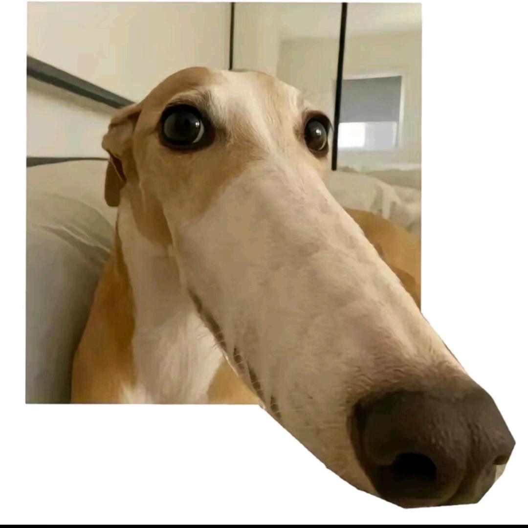 光明磊落的小俊