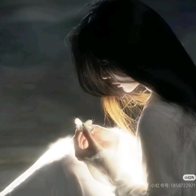 小猫小猫小猫小猫