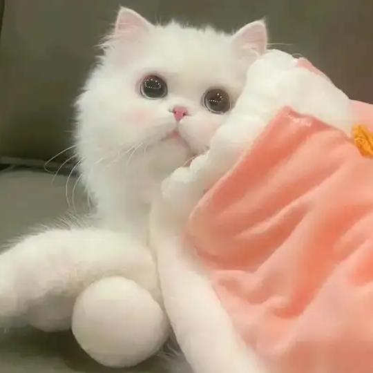 冰雪儿宝宝🎵⁹¹⁰🎤