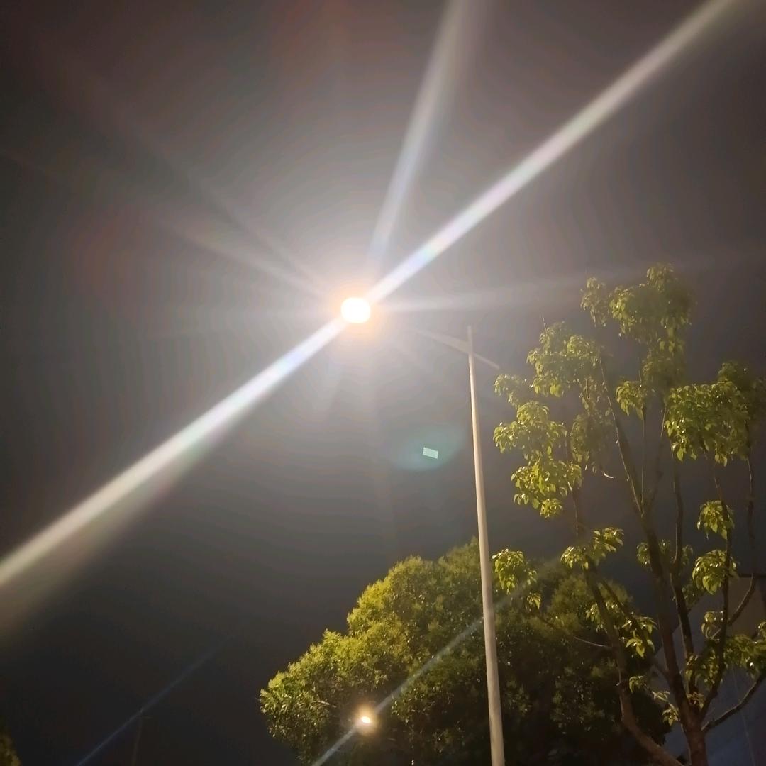 季凌晨
