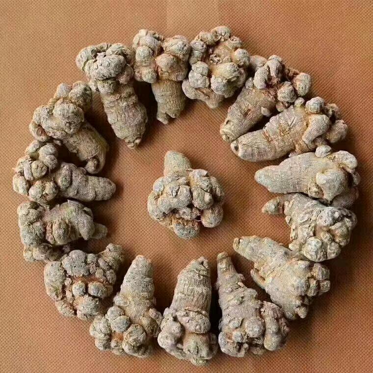 云南三七批发零售