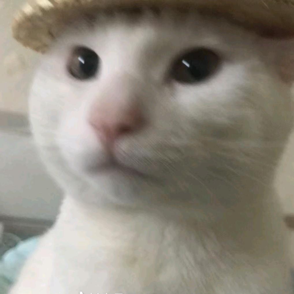 夜长争得薄情知