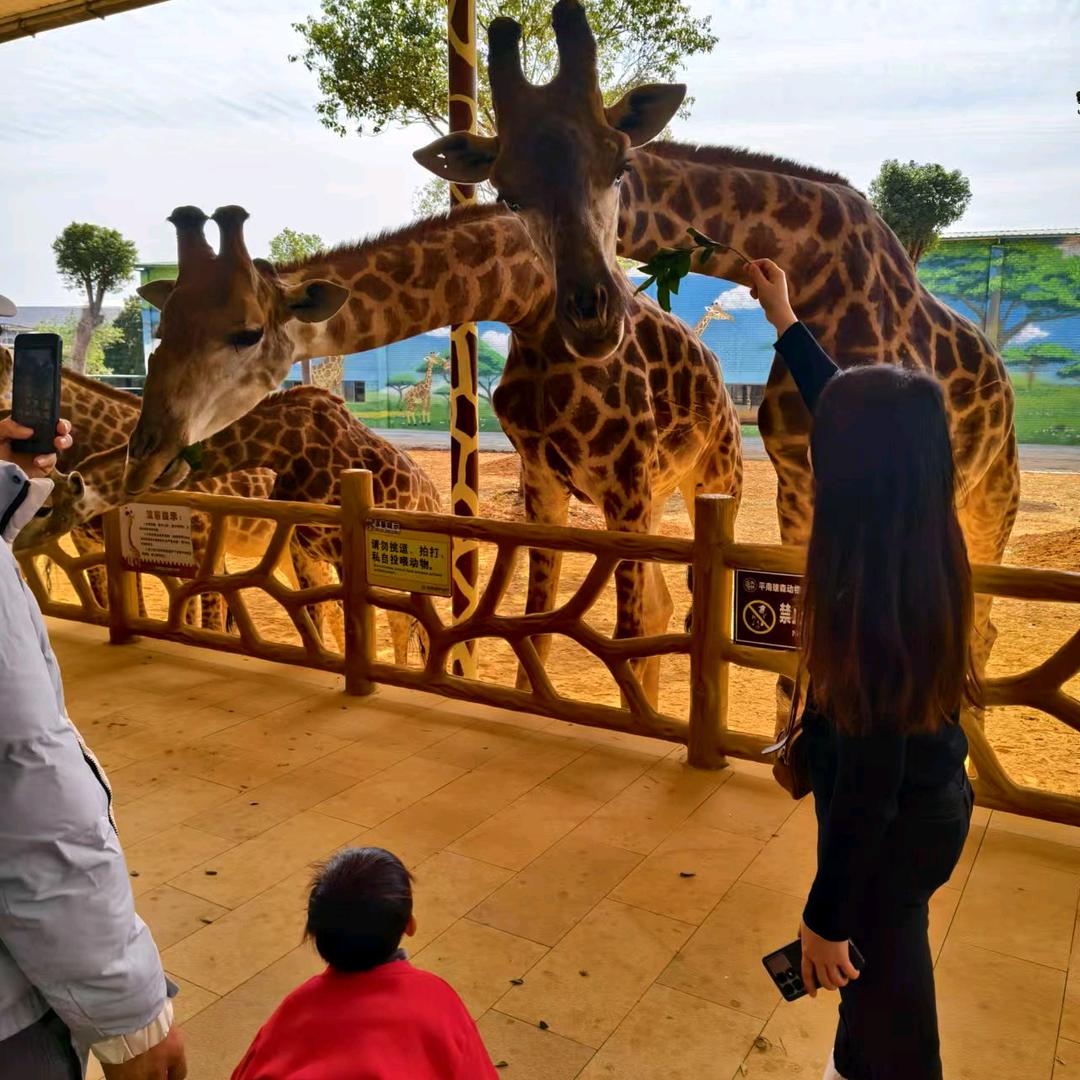 一店凭祥兴民农资  二店宁明富民农业