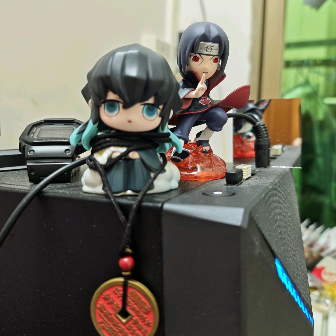 龙