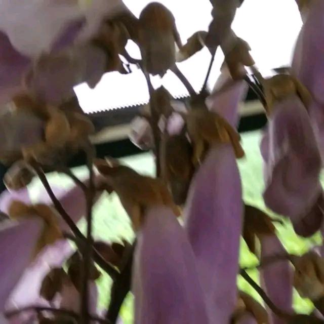 赵姐