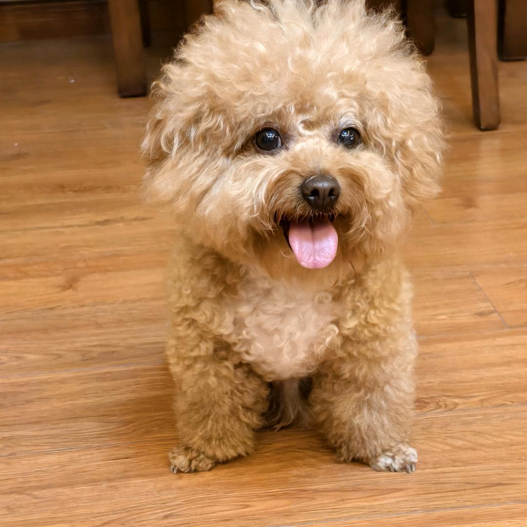 手机用户67440868575