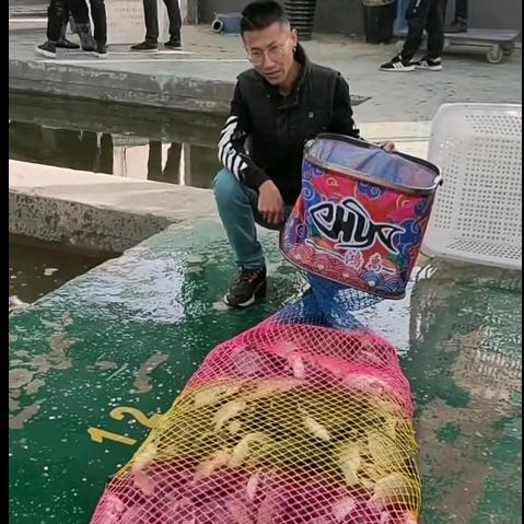 东坝湿地生态钓场小敏