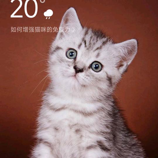 一笑而过。