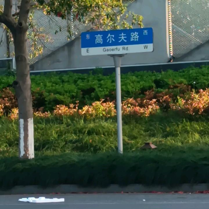 不想跑车